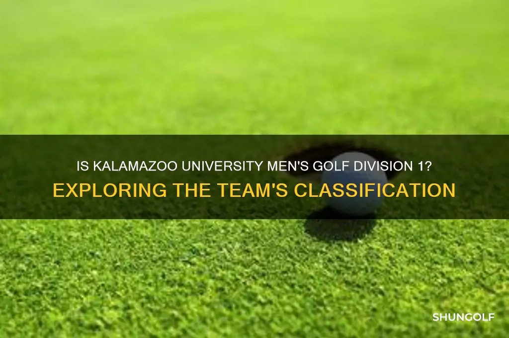 is kalamazoo university men