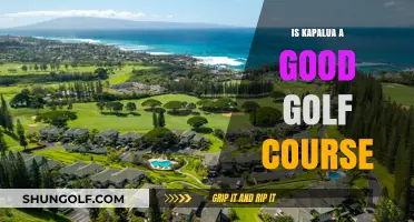 Kapalua Golf Course Review: Is It Worth the Hype?