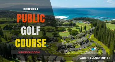 Is Kapalua a Public Golf Course? Exploring Access and Membership Details