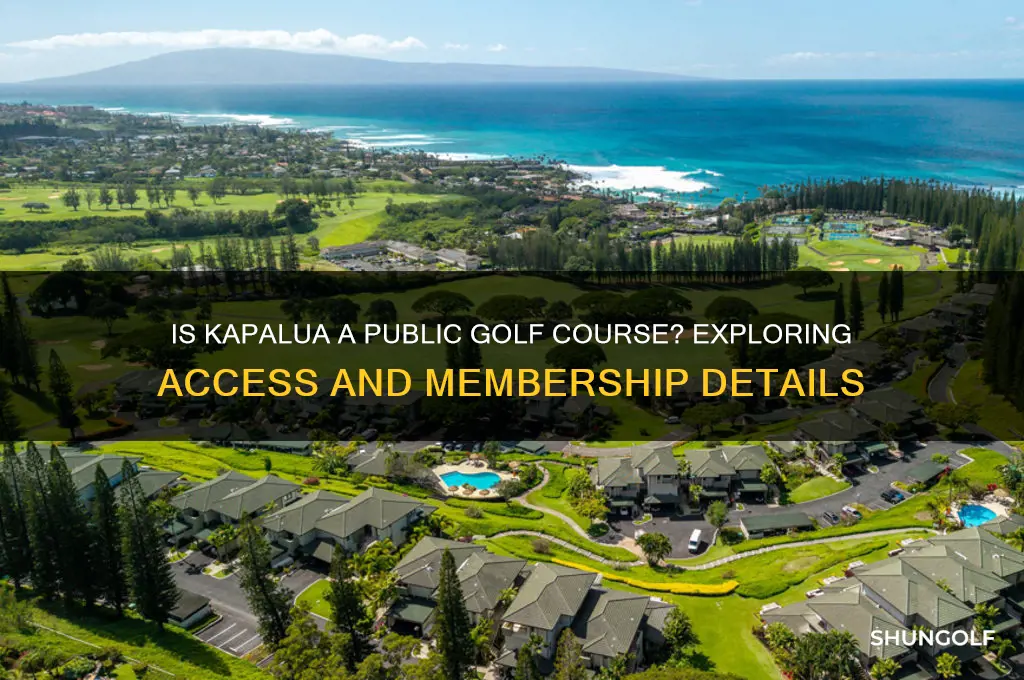 is kapalua a public golf course