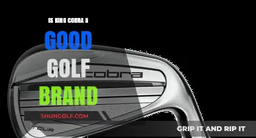 Exploring the Greens: Is King Cobra a Top Golf Brand?