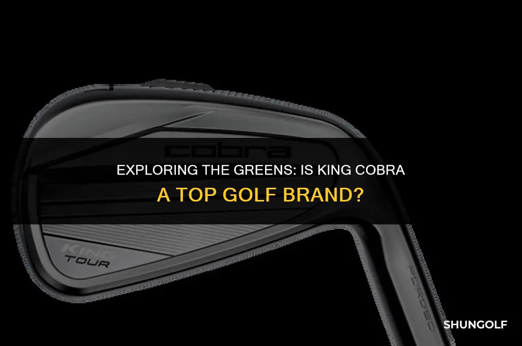is king cobra a good golf brand