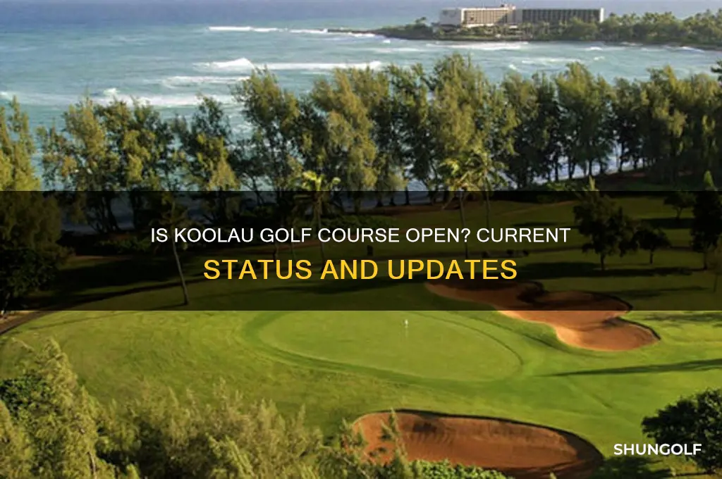 is koolau golf course open