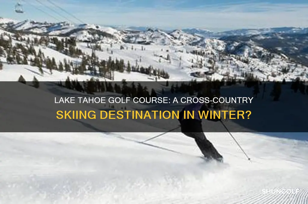 is lake tahoe golf course a cross country skiing facility
