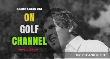 Exploring Lanny Wadkins' Current Role on Golf Channel