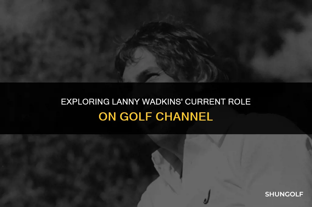 is lanny wadkins still on golf channel
