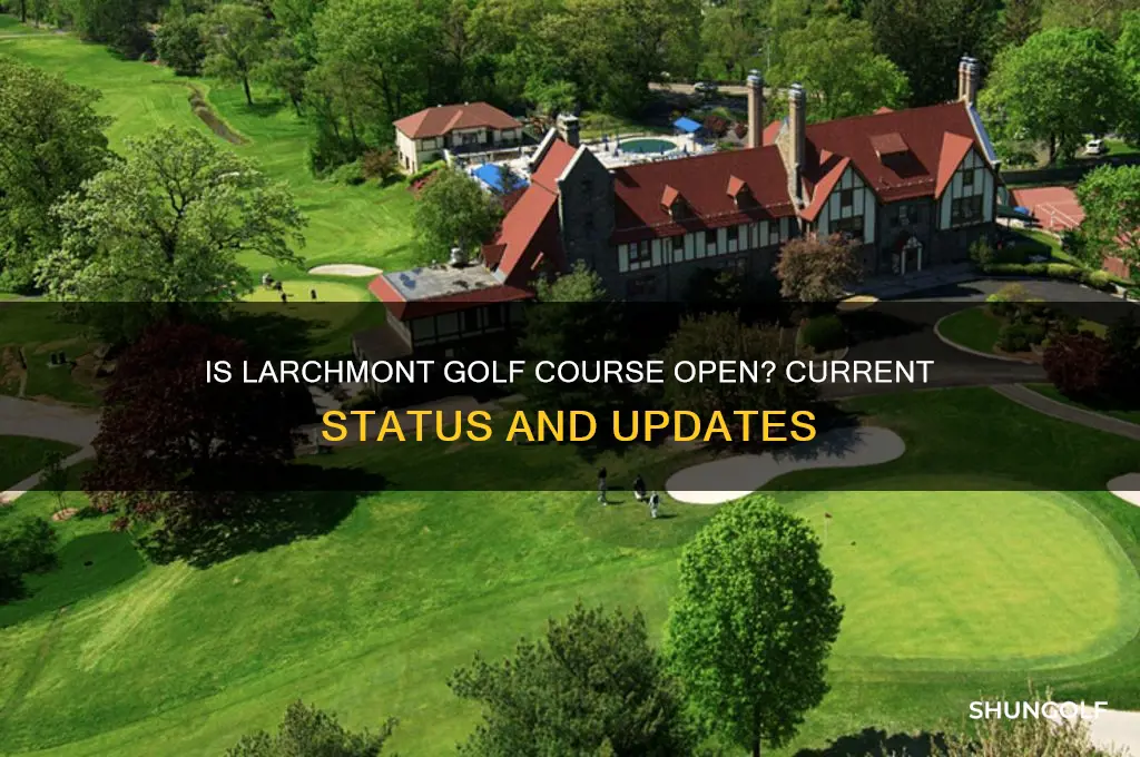 is larchmont golf course open