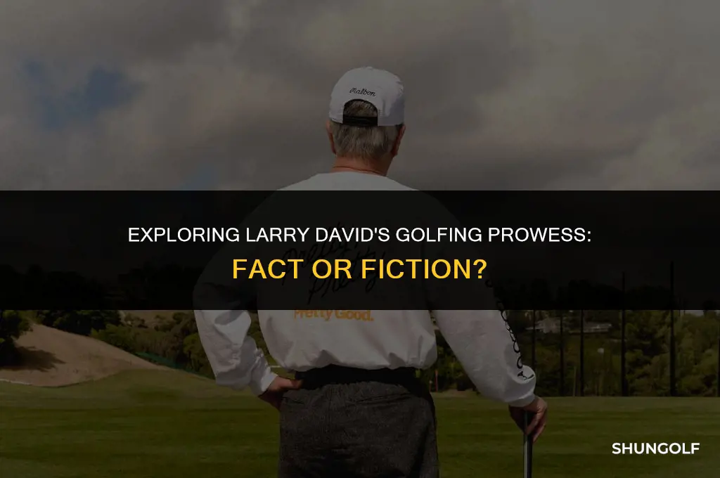 is larry david a good golfer