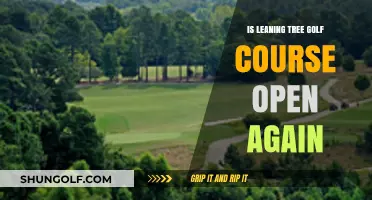 Is Leaning Tree Golf Course Reopened? Latest Updates for Golfers