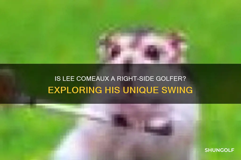 is lee comeaux a right side golfer