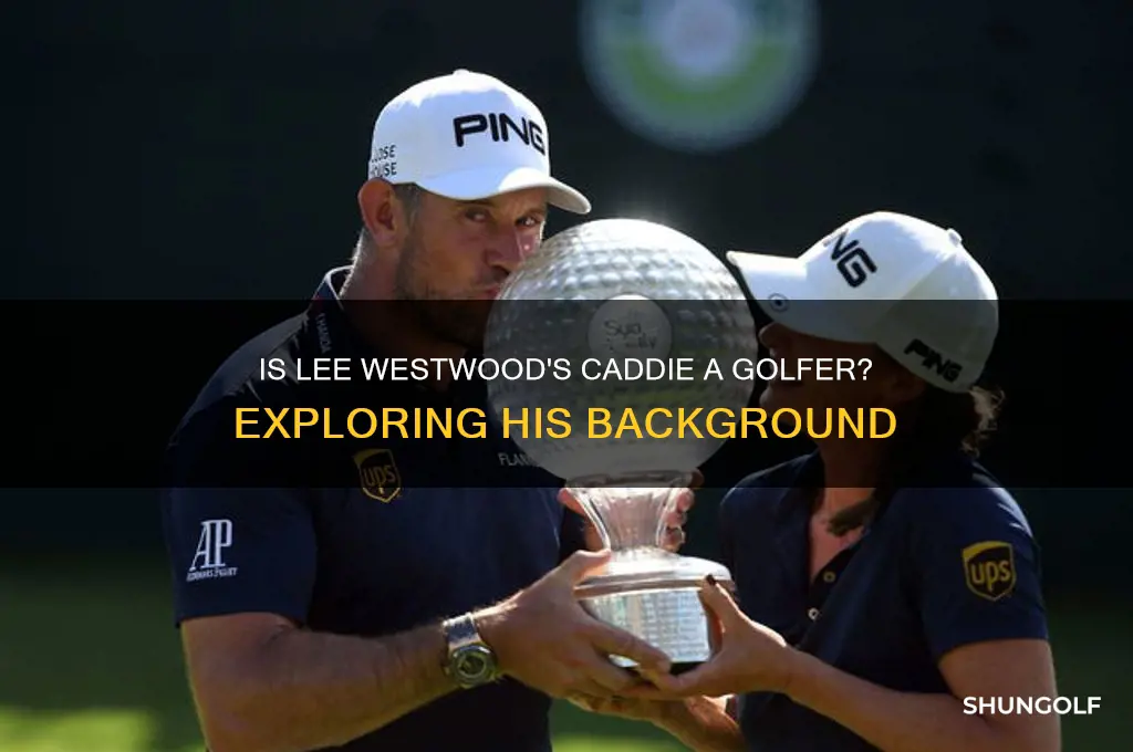 is lee westwood