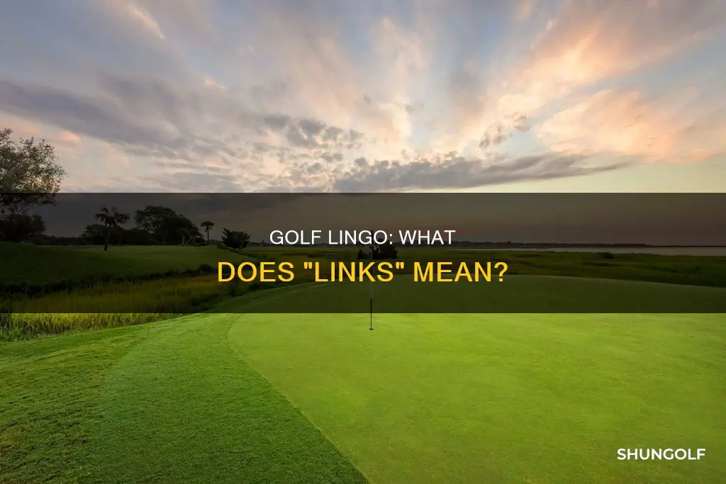 is links a golf term