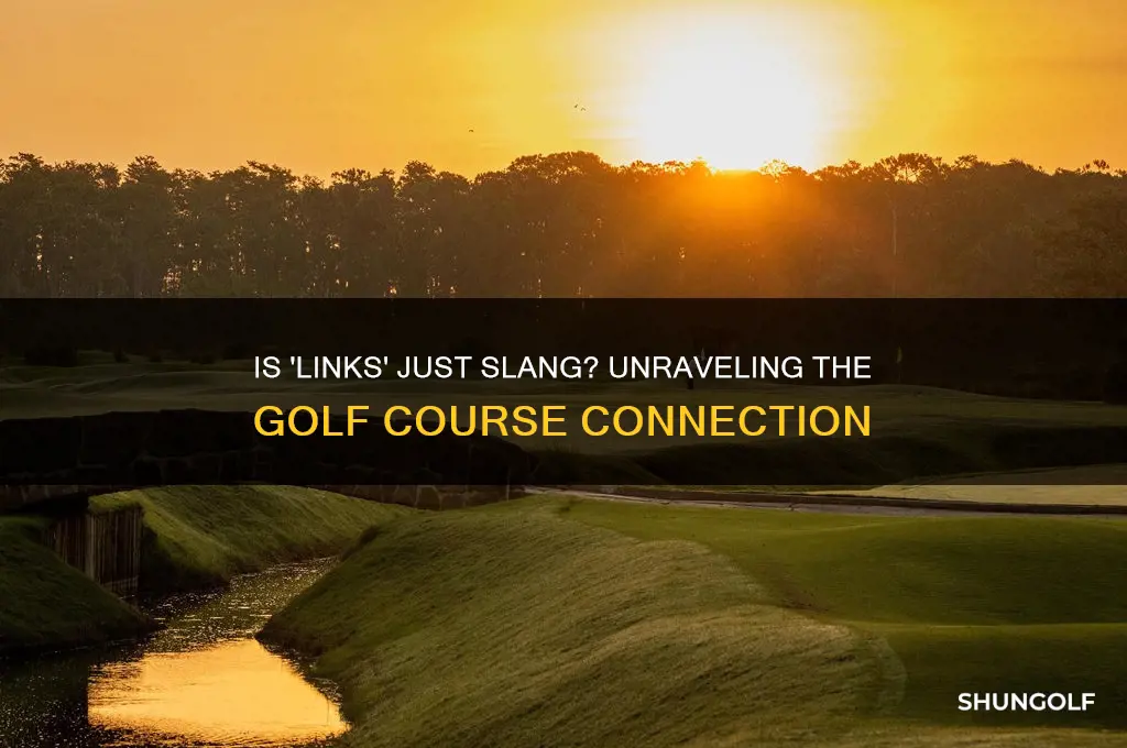 is links slang for golf course