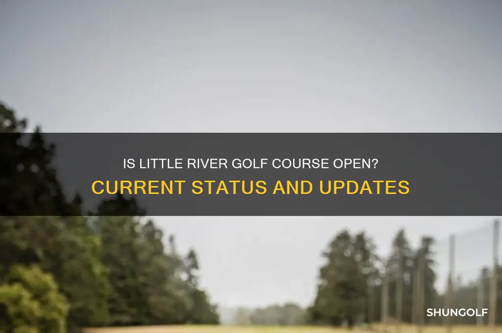 is little river golf course open