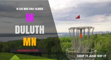 Exploring the Status of LSC Disc Golf in Duluth, MN