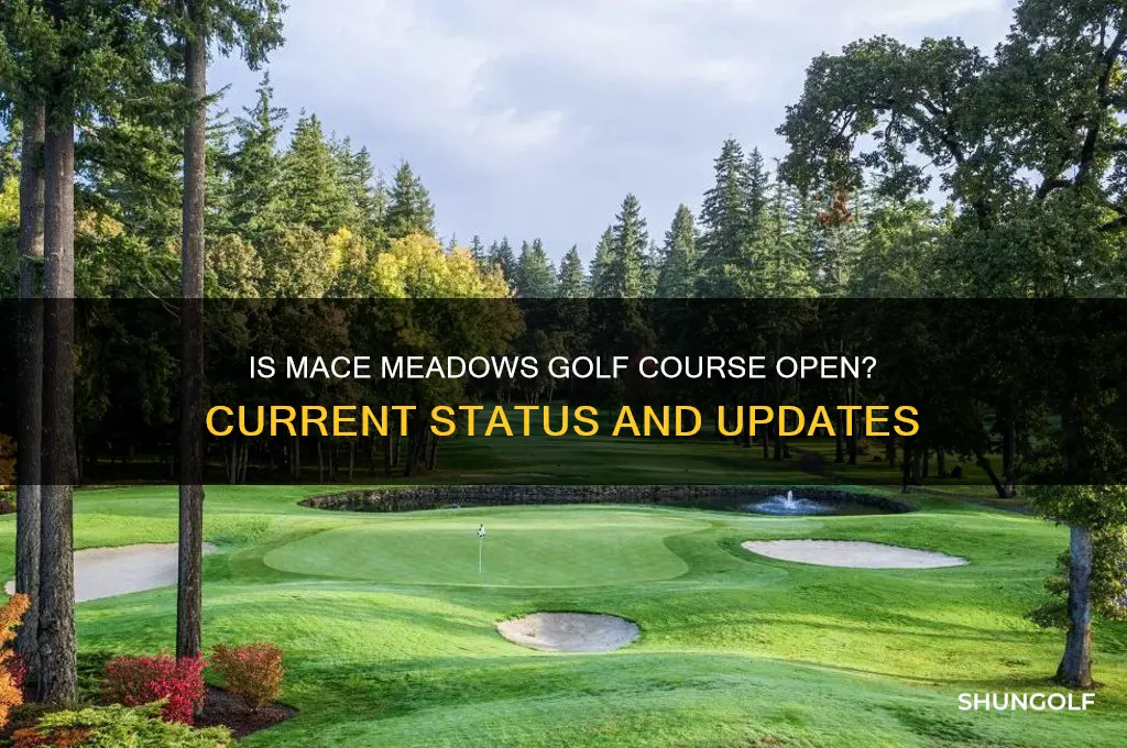 is mace meadows golf course open