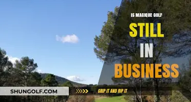 Magique Golf: Still in Business?