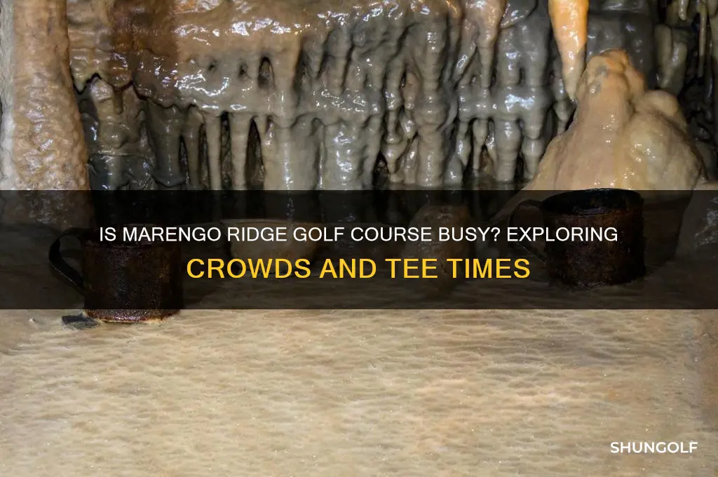 is marengo ridge golf course busy