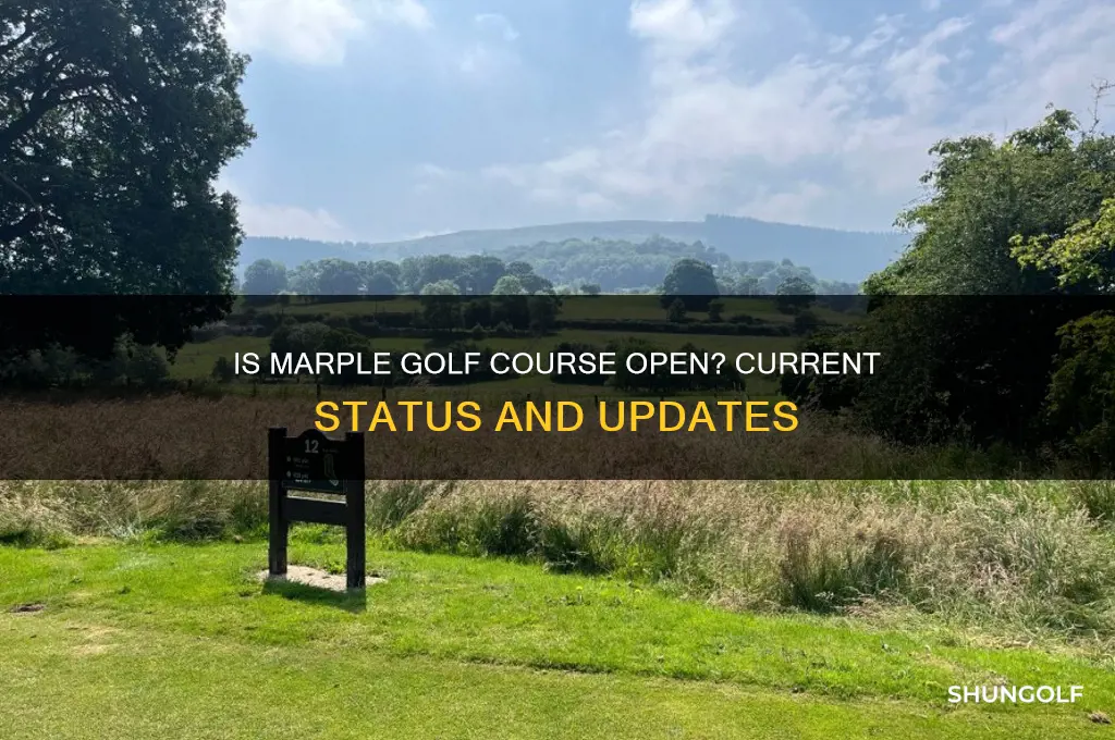 is marple golf course open