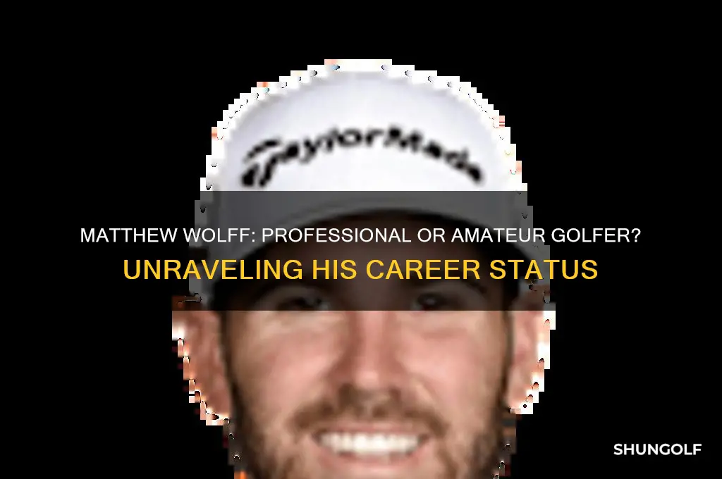 is matthew wolf a professional or amateur golfer