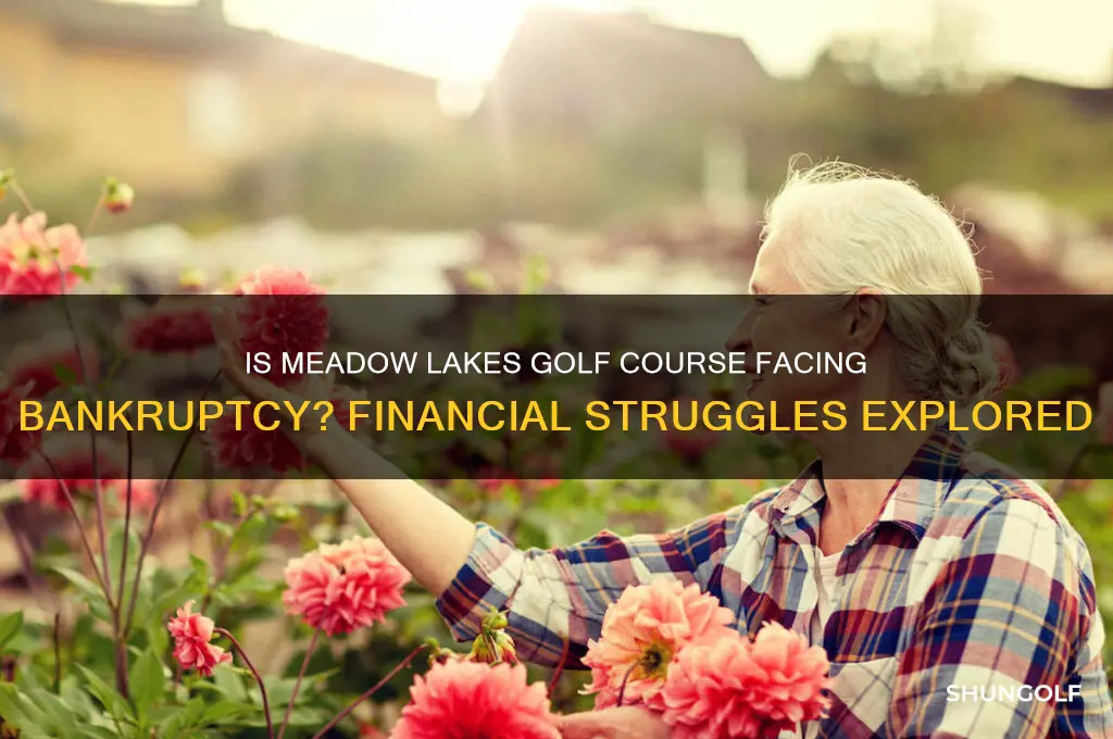 is meadow lakes golf course going bankrupt
