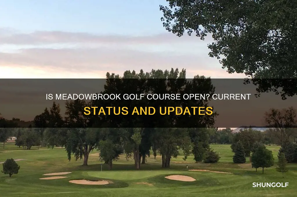 is meadowbrook golf course open