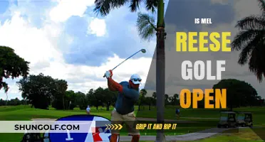 Is Mel Reese Golf Course Open? Current Status and Updates