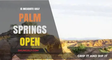 Is Mesquite Golf Course in Palm Springs Open for Play?