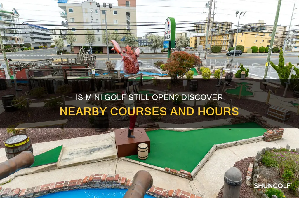 is mini golf still open