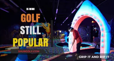 Mini Golf: Is It Still a Hole-in-One?