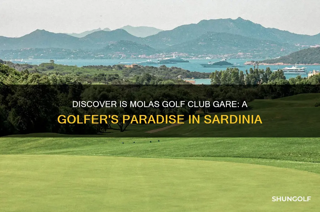 is molas golf club gare