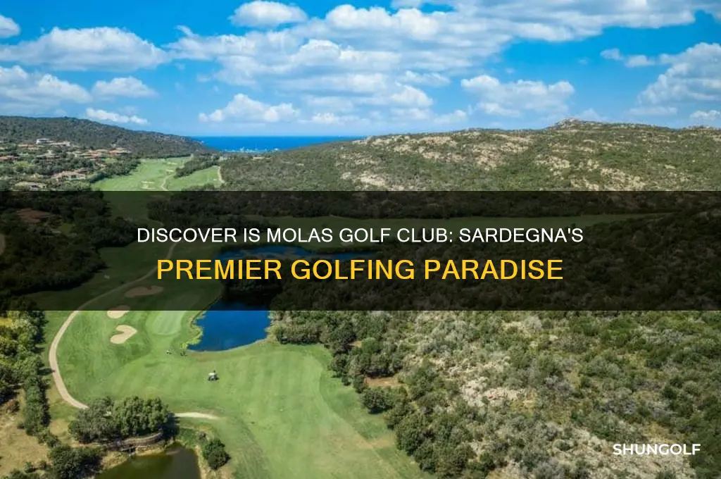 is molas golf club sardegna
