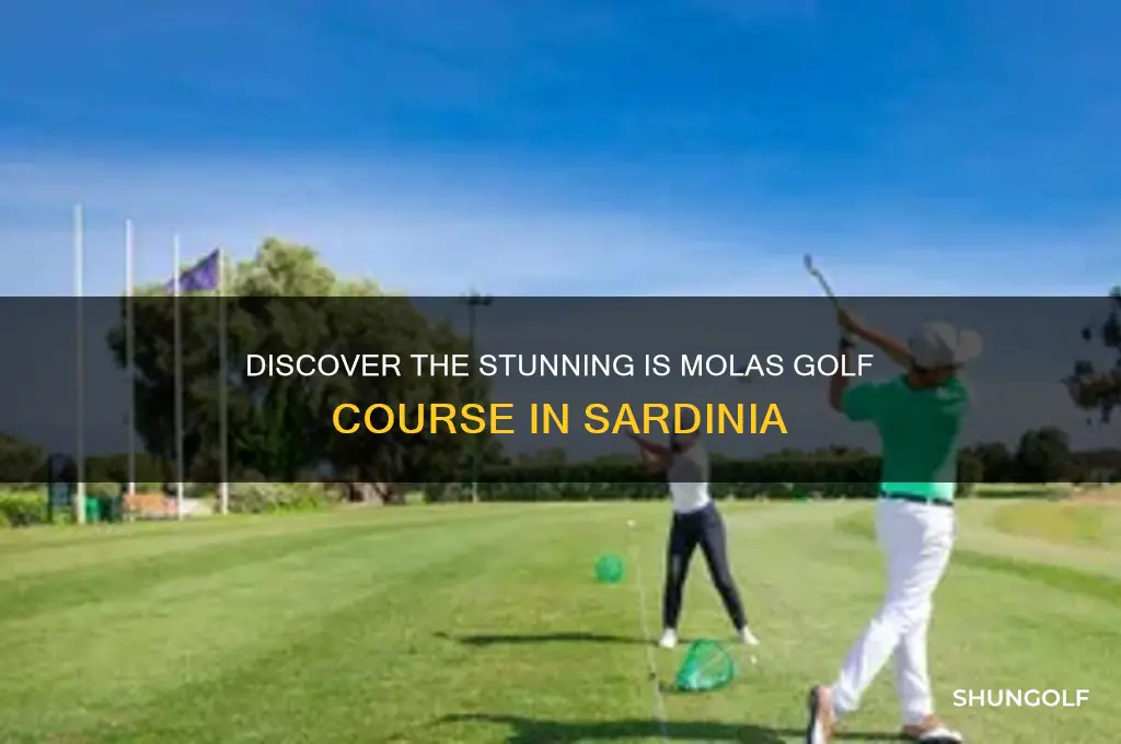 is molas golf course