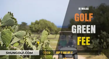 Golfing at Molas: Green Fee and More
