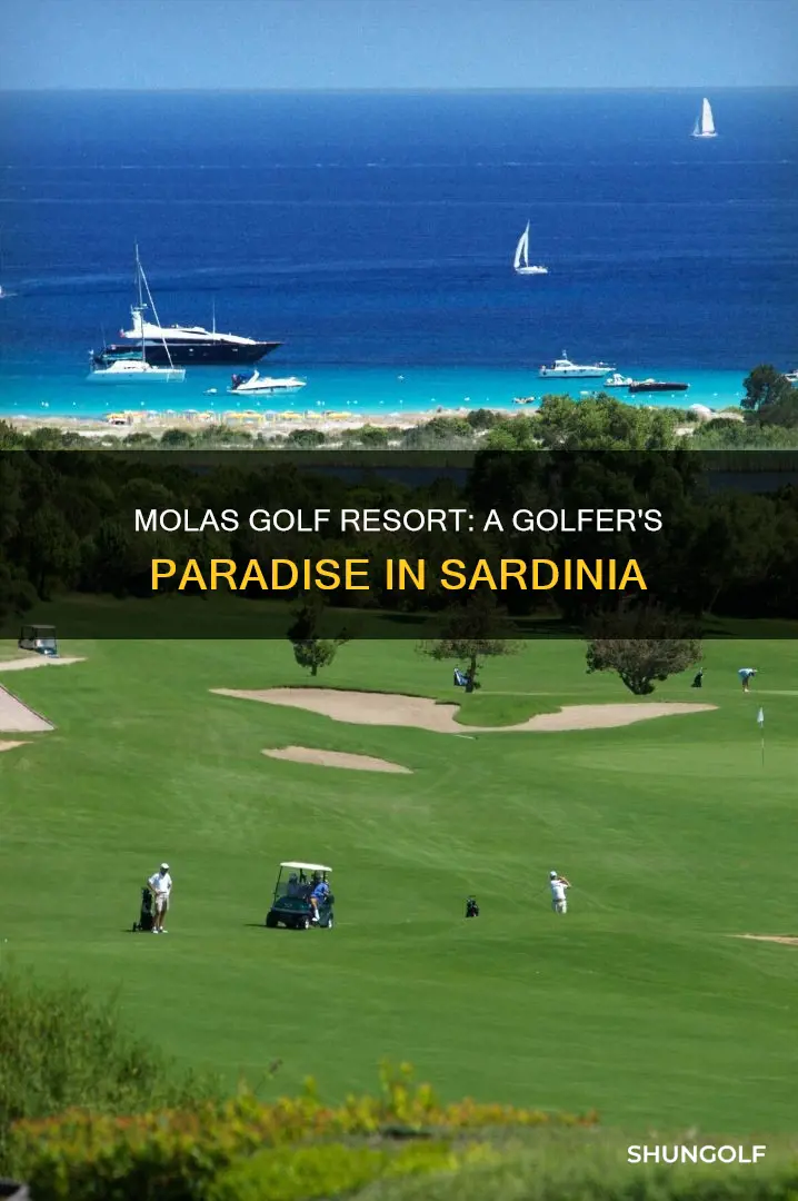 is molas golf resort sardegna