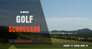 Golfing at Molas: A Scorecard Review
