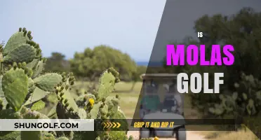 Golfing at the Edge of the World
