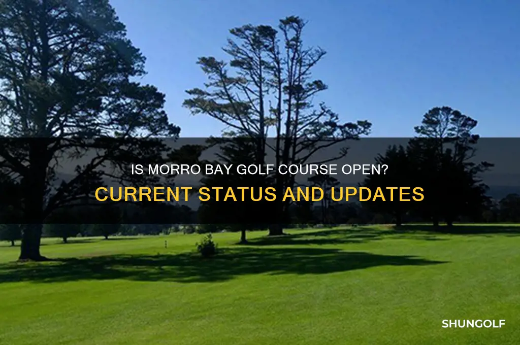 is morro bay golf course open
