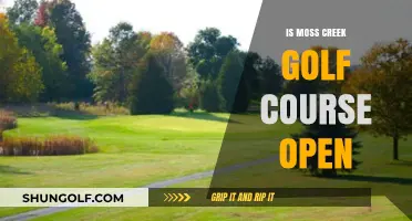 Is Moss Creek Golf Course Open? Current Status and Updates