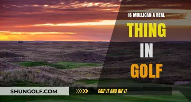 Is Mulligan a Real Golf Rule or Just a Friendly Gesture?
