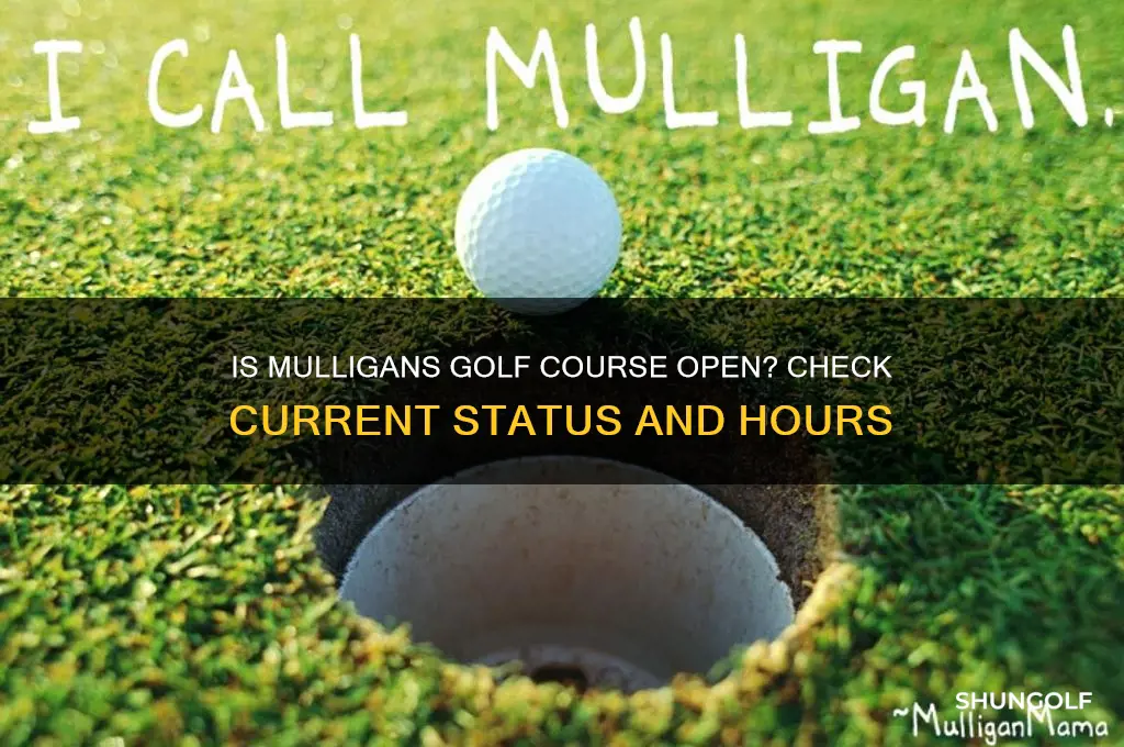 is mulligans golf course open