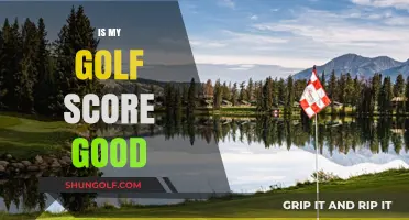 Decoding Your Golf Score: From Novice to Pro
