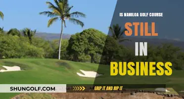 Is Naniloa Golf Course Still Open for Business?
