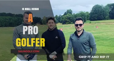 Niall Horan: Pro Golfer or Wannabe?