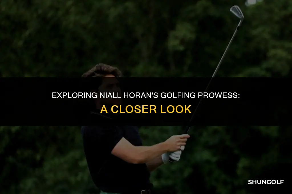 is niall horan good at golf
