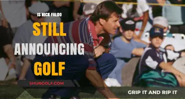 Nick Faldo: Still Commentating on Golf?