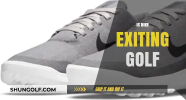 Nike's Golf Exit: What's Next for the Sport?