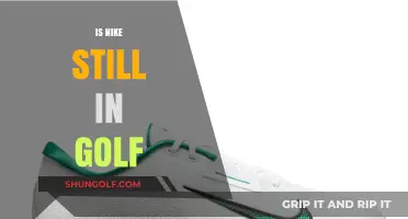 Nike's Golf Business: What's the Current Status?