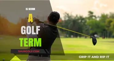 Golf Terms: What Does "Norm" Mean?