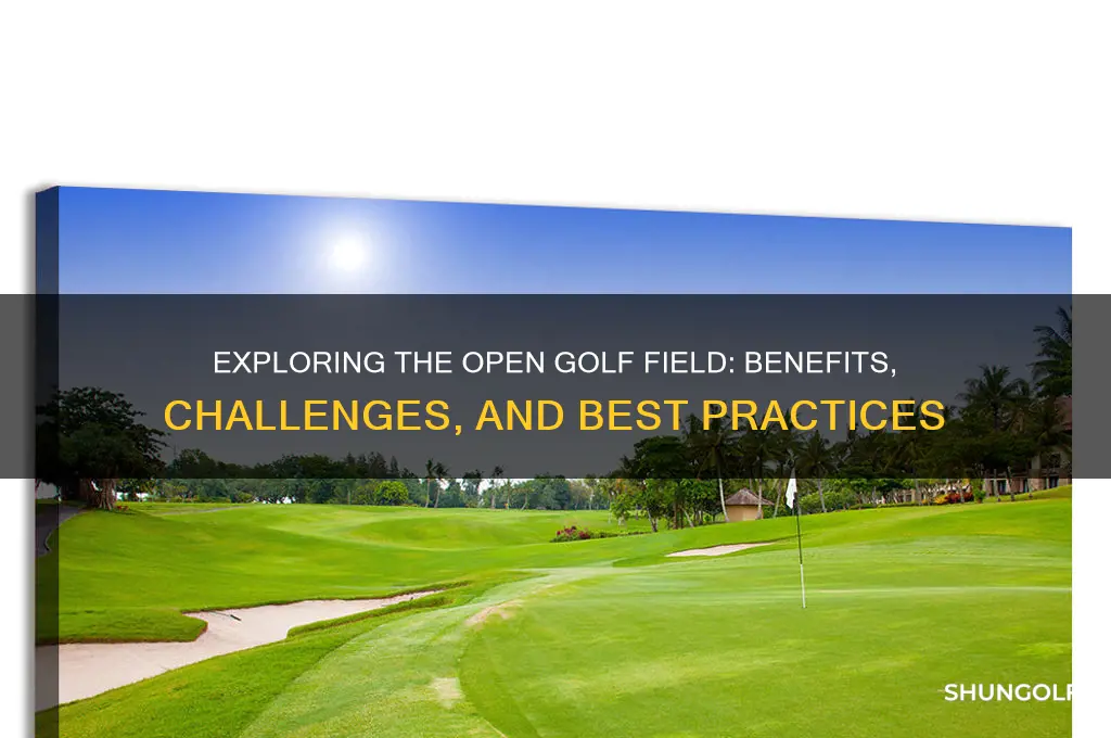 is open golf field